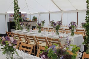 Country party planning from stylish entertainment