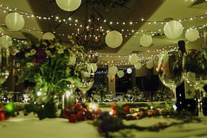 Image of a fairy light canopy installed for a party at Babington House in Somerset.