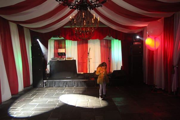 Circus Themed Party.jpg